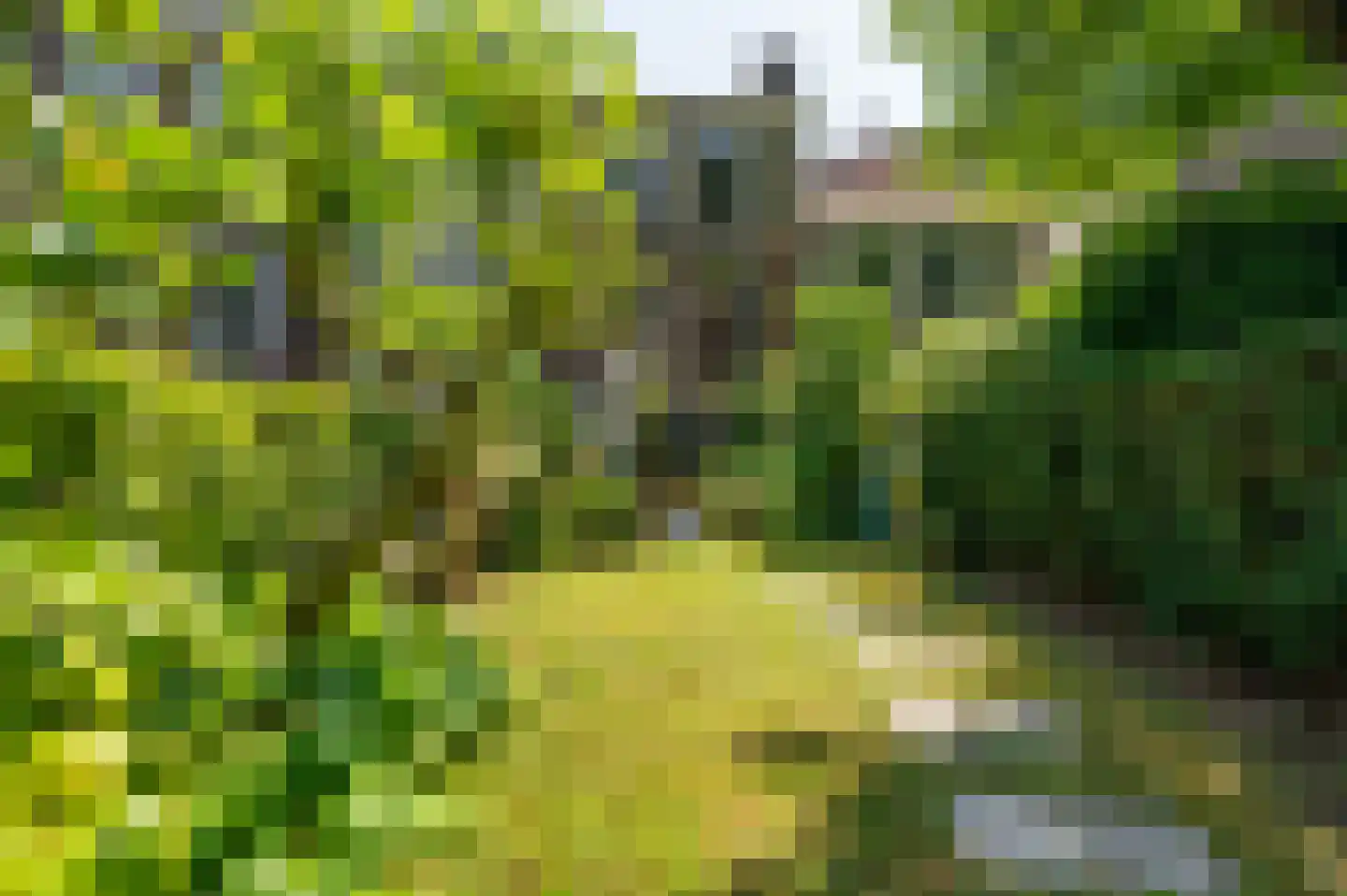 Rouaansekaai 27 Middelburg thumbnail 49