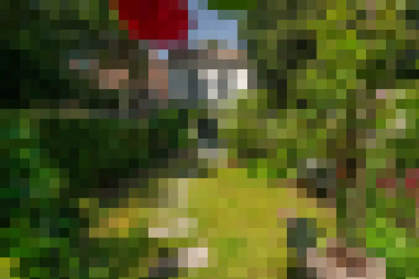 Rouaansekaai 27 Middelburg thumbnail 5