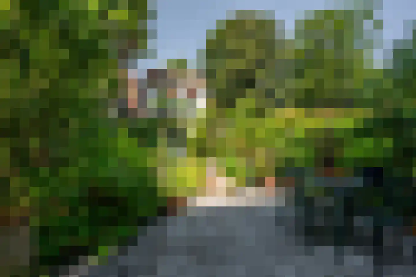 Rouaansekaai 27 Middelburg thumbnail 52