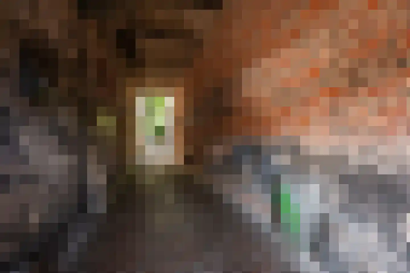 Rouaansekaai 27 Middelburg thumbnail 63