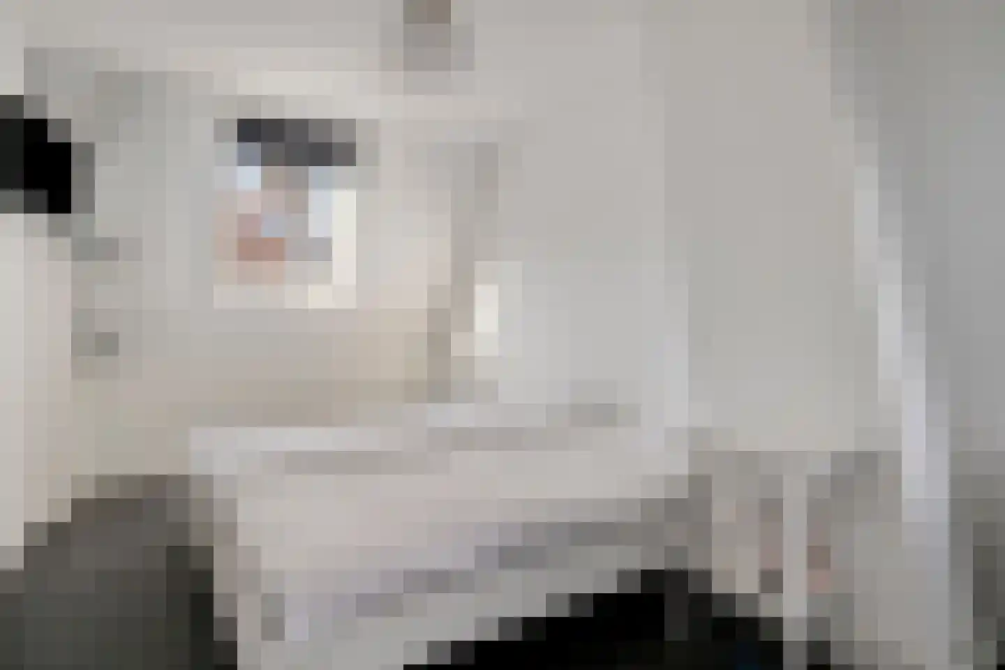 Rouaansekaai 3 Middelburg thumbnail 32