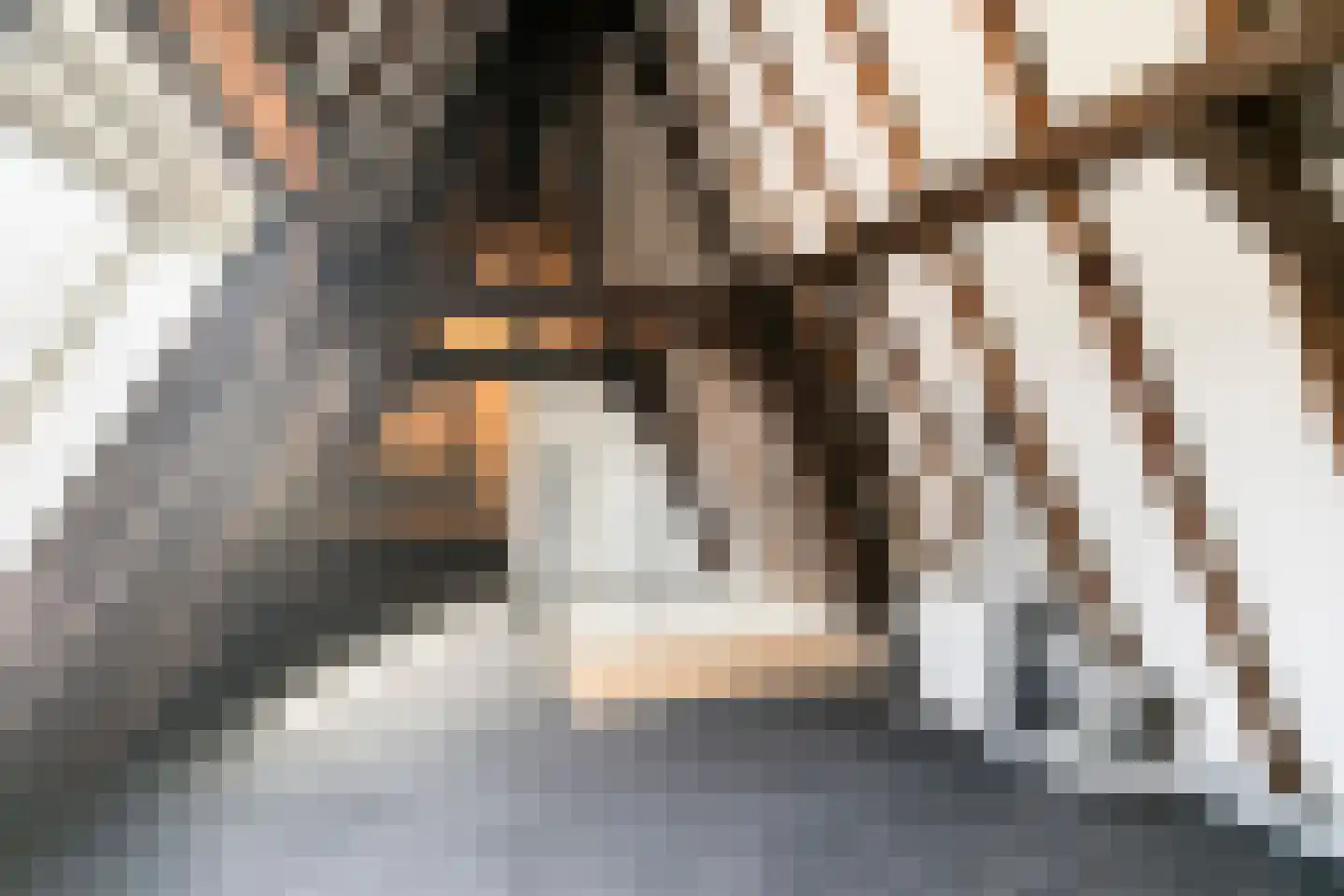 Rouaansekaai 3 Middelburg thumbnail 35