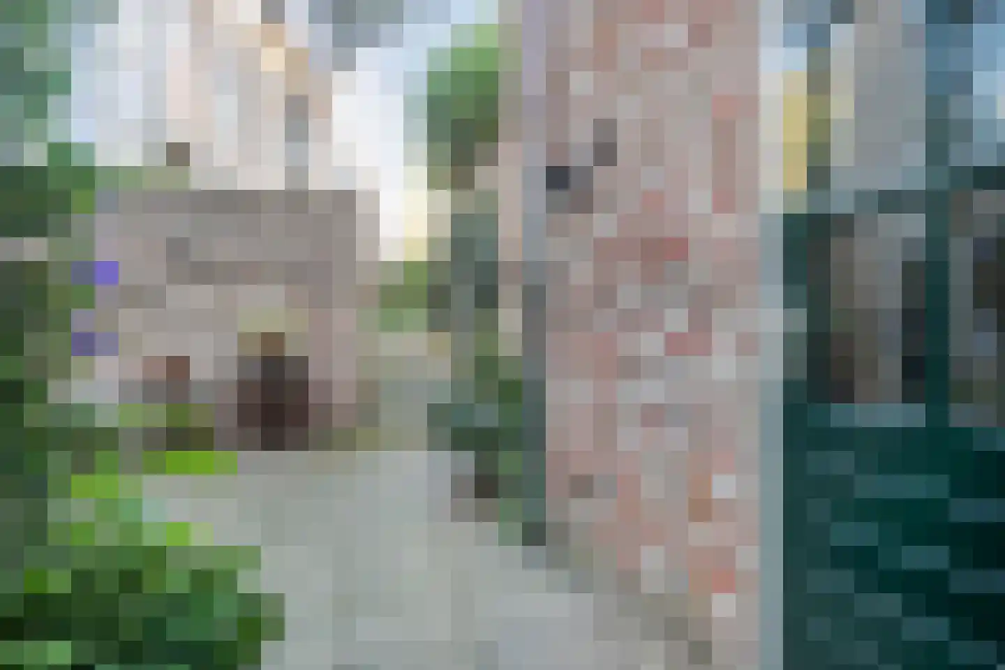 Rouaansekaai 3 Middelburg thumbnail 39