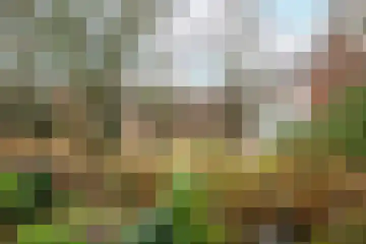 Rouaansekaai 83 Middelburg thumbnail 25