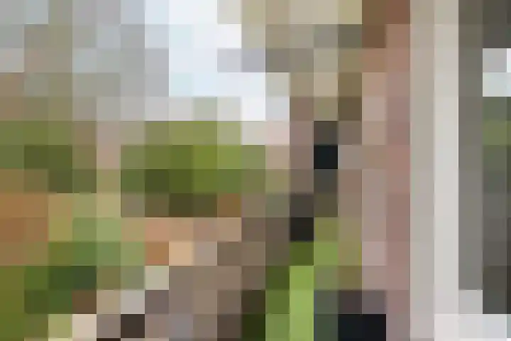 Rouaansekaai 83 Middelburg thumbnail 6