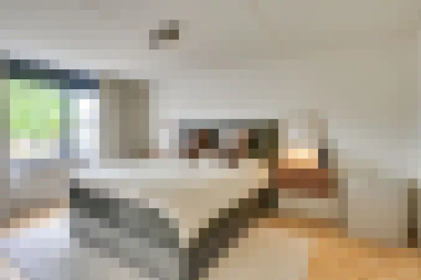 Roubaixlaan 3 Eindhoven thumbnail 11