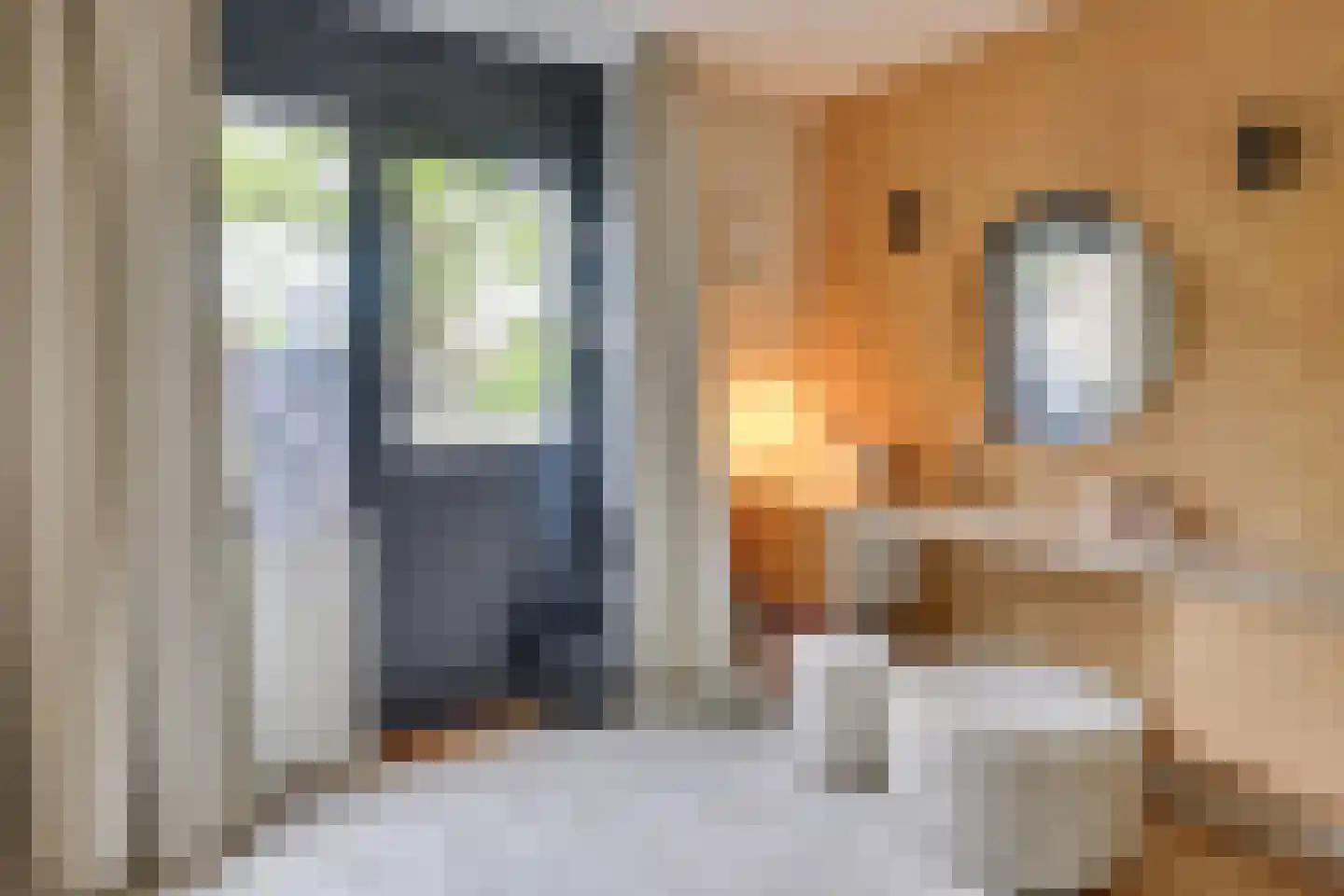 Roubaixlaan 3 Eindhoven thumbnail 14