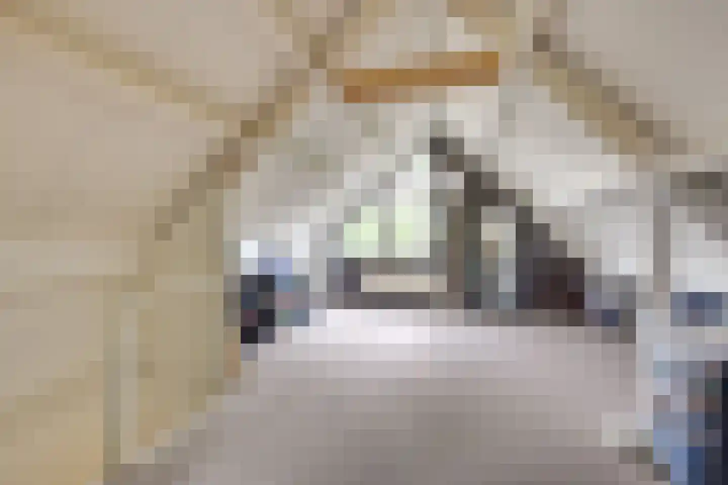 Roubaixlaan 3 Eindhoven thumbnail 19