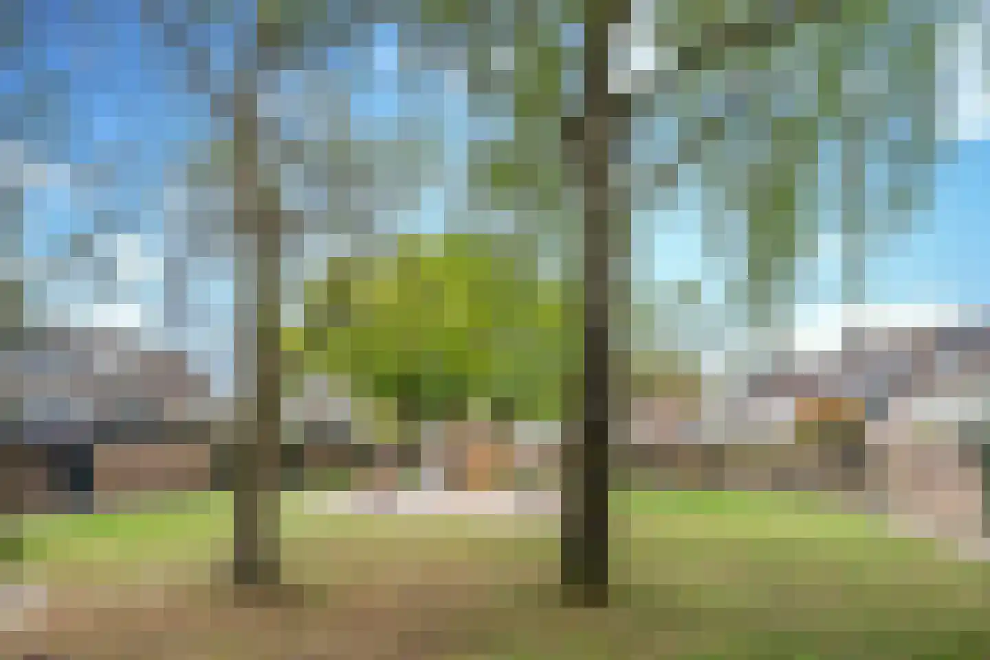 Roubaixlaan 3 Eindhoven thumbnail 21