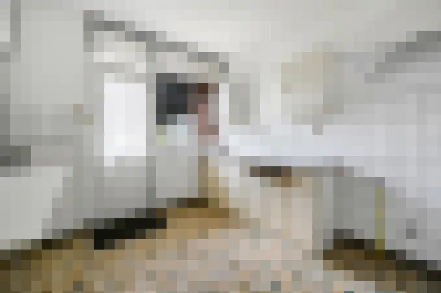 Rouboslaan 21 Voorschoten thumbnail 12