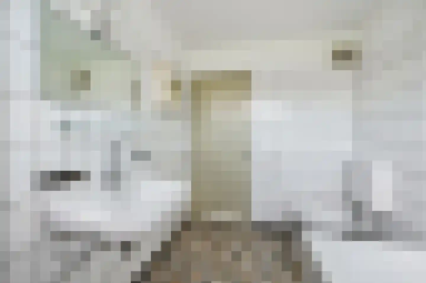 Rouboslaan 21 Voorschoten thumbnail 21