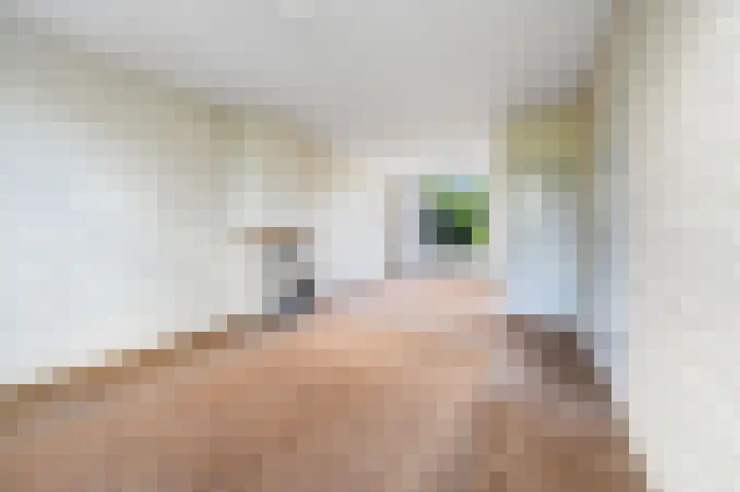Rouboslaan 21 Voorschoten thumbnail 9