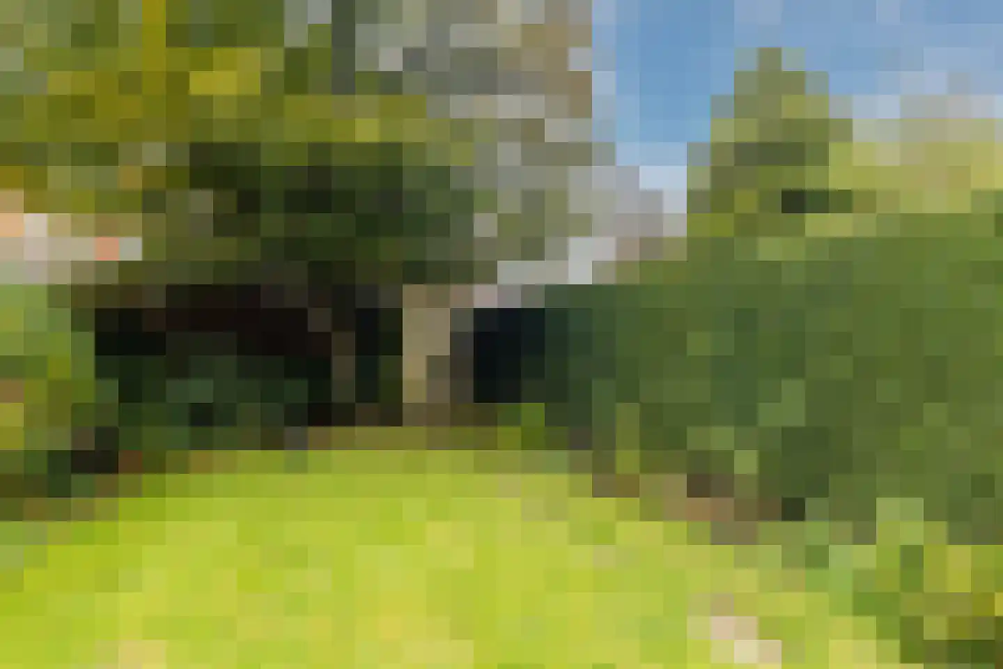 Rouboslaan 23 Voorschoten thumbnail 42
