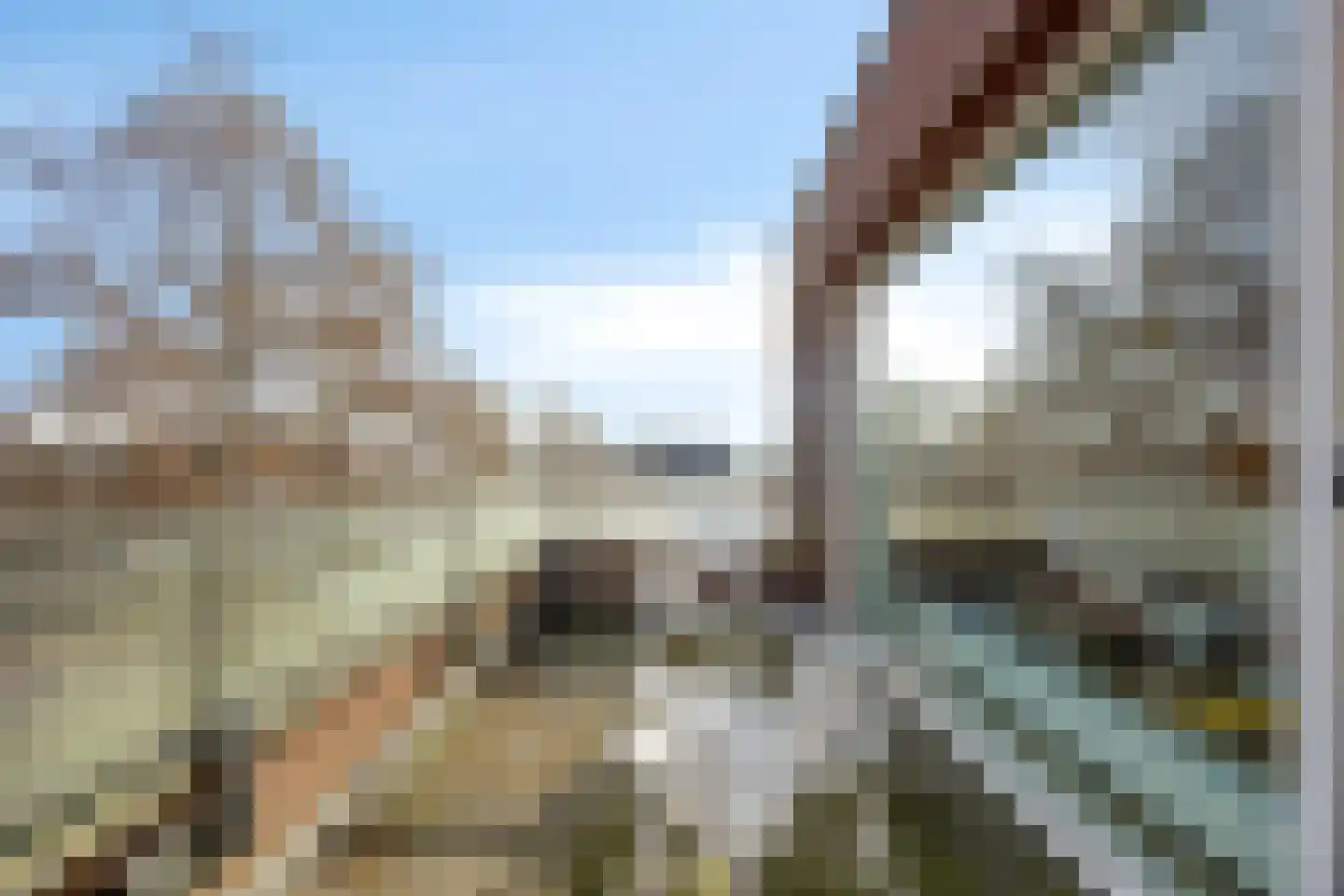 Rouboslaan 66 Voorschoten thumbnail 17