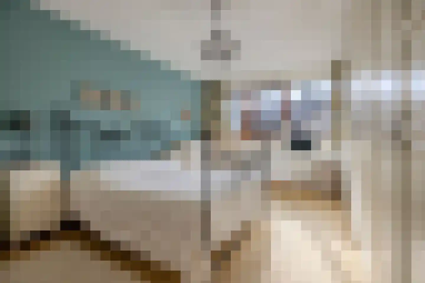 Roucooppark 1 Voorschoten thumbnail 19