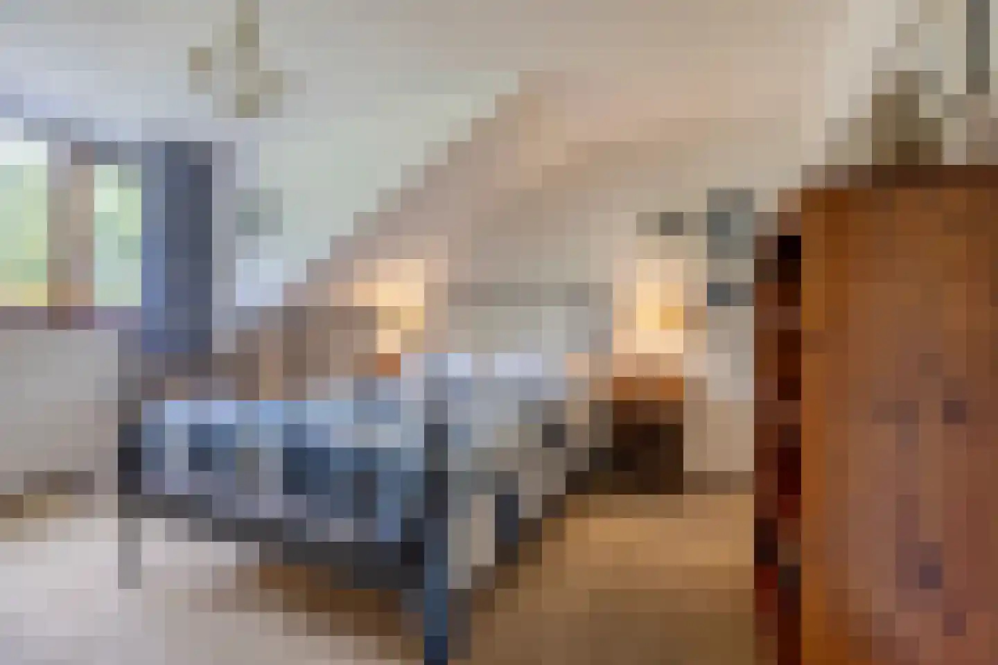Roucooppark 1 Voorschoten thumbnail 21