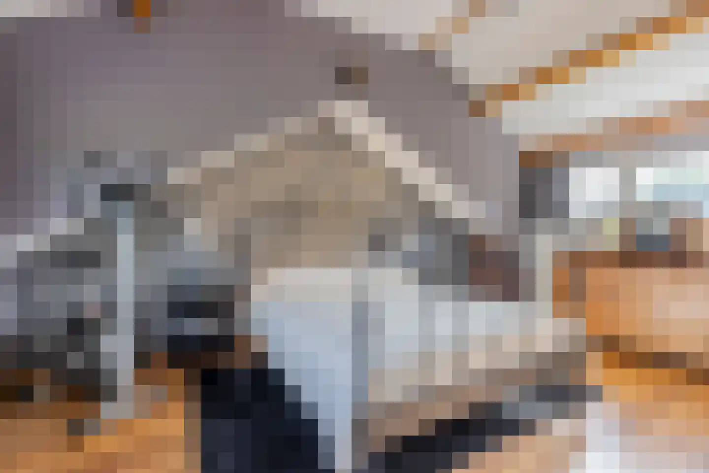 Roucooppark 1 Voorschoten thumbnail 27