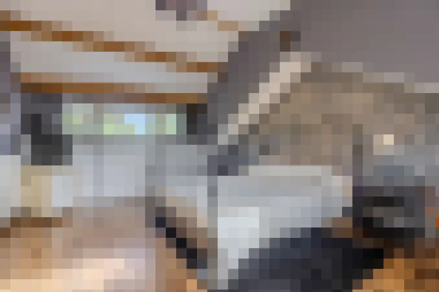 Roucooppark 1 Voorschoten thumbnail 28