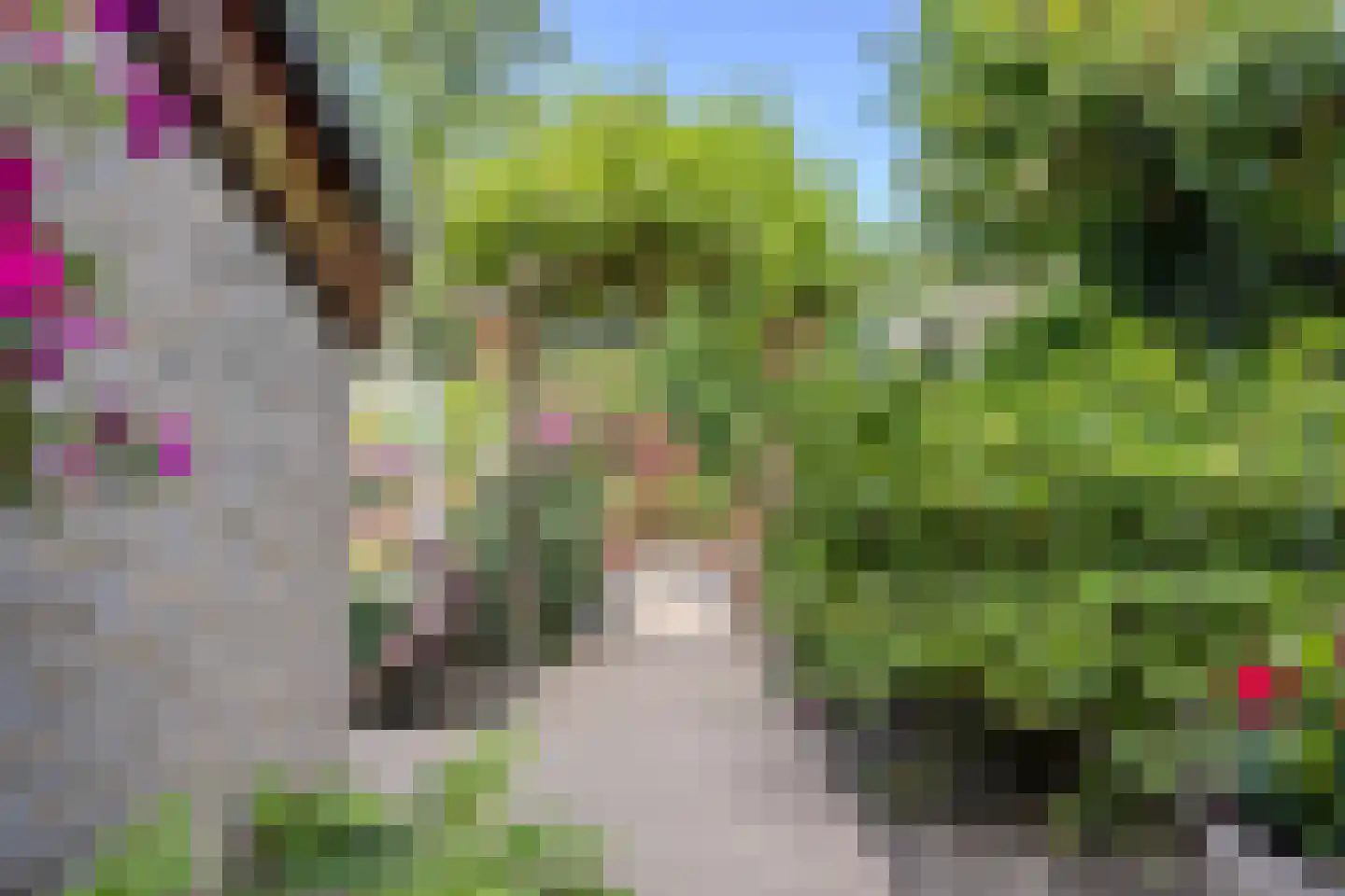 Roucooppark 1 Voorschoten thumbnail 31