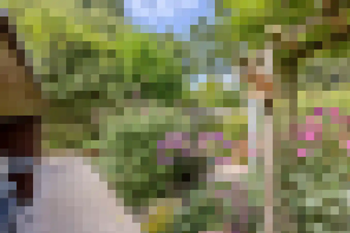 Roucooppark 1 Voorschoten thumbnail 32