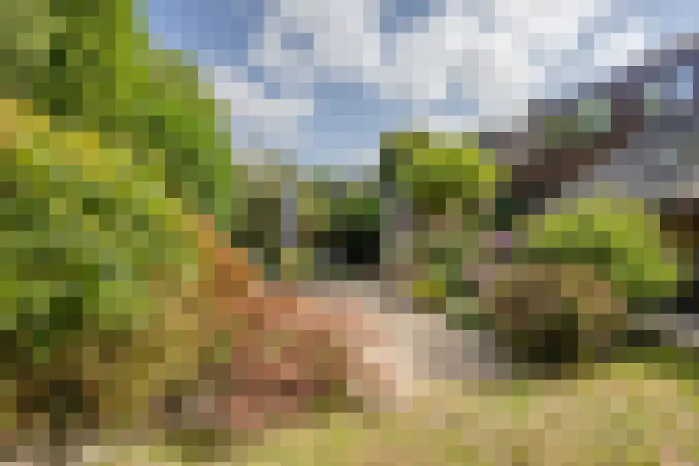 Roucooppark 1 Voorschoten thumbnail 34