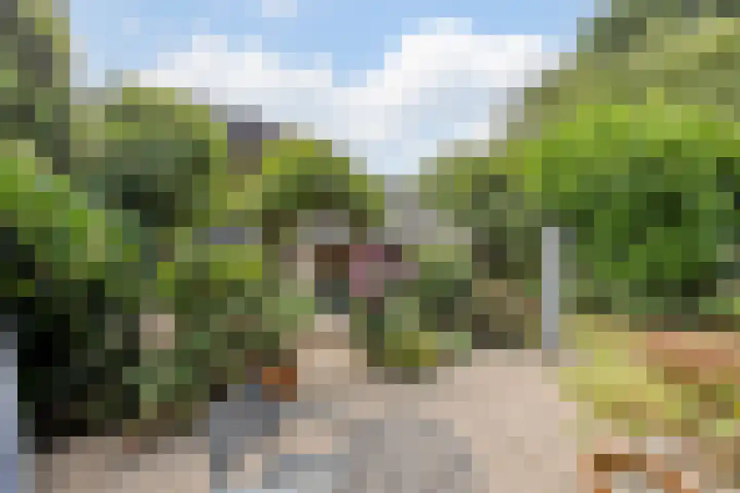 Roucooppark 1 Voorschoten thumbnail 36