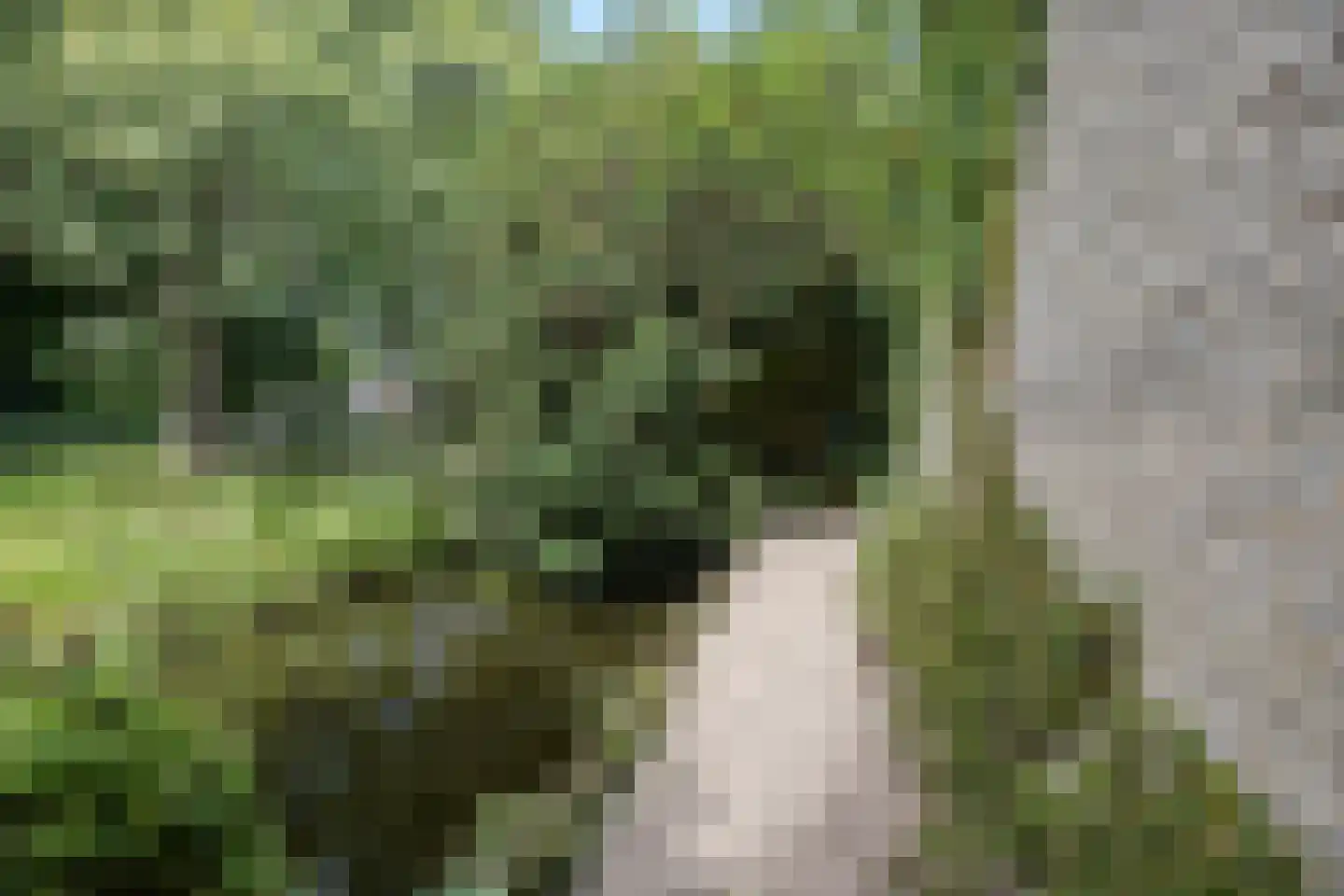 Roucooppark 1 Voorschoten thumbnail 37