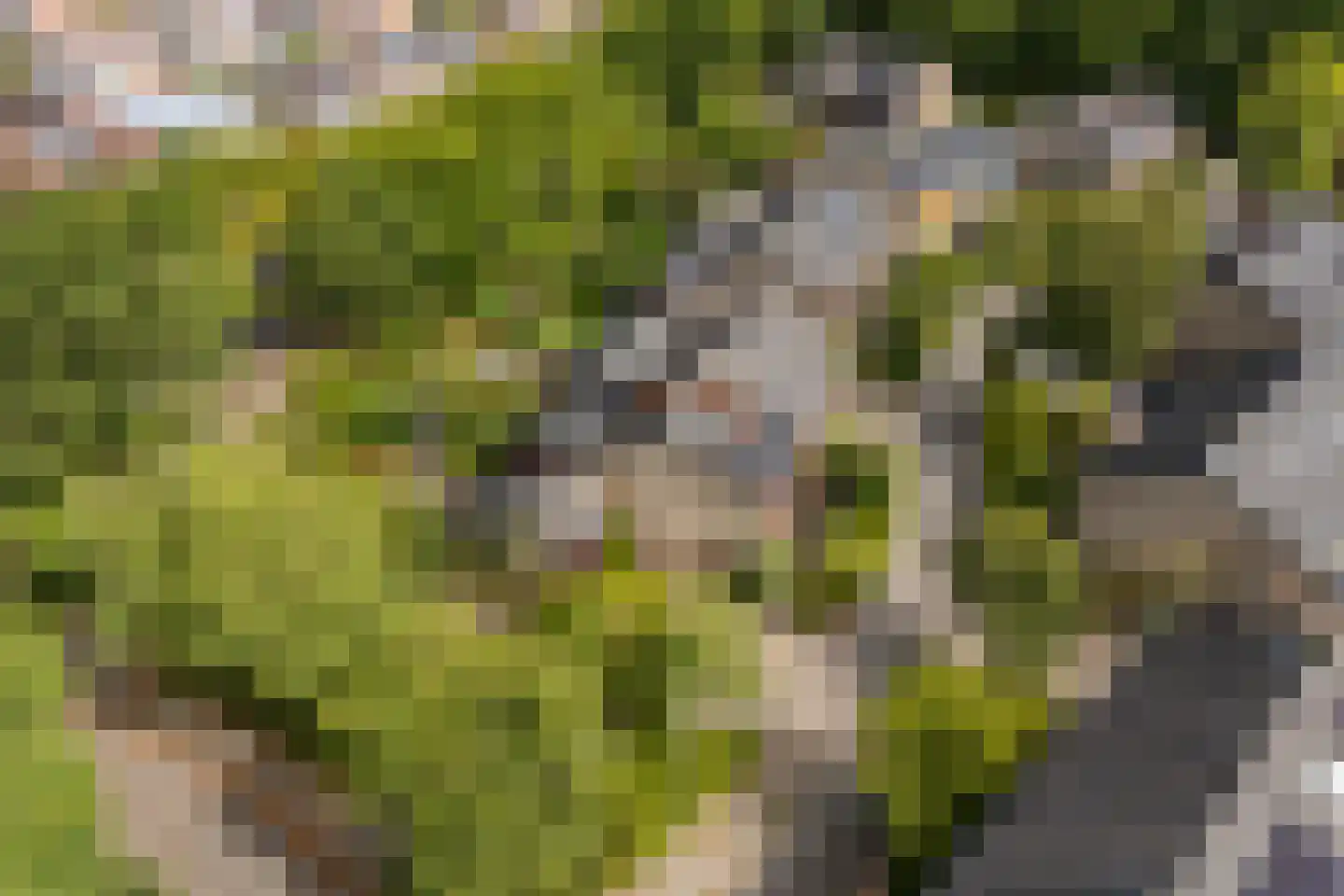 Roucooppark 1 Voorschoten thumbnail 38