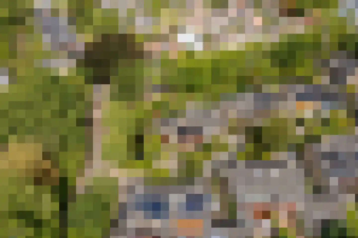 Roucooppark 1 Voorschoten thumbnail 39