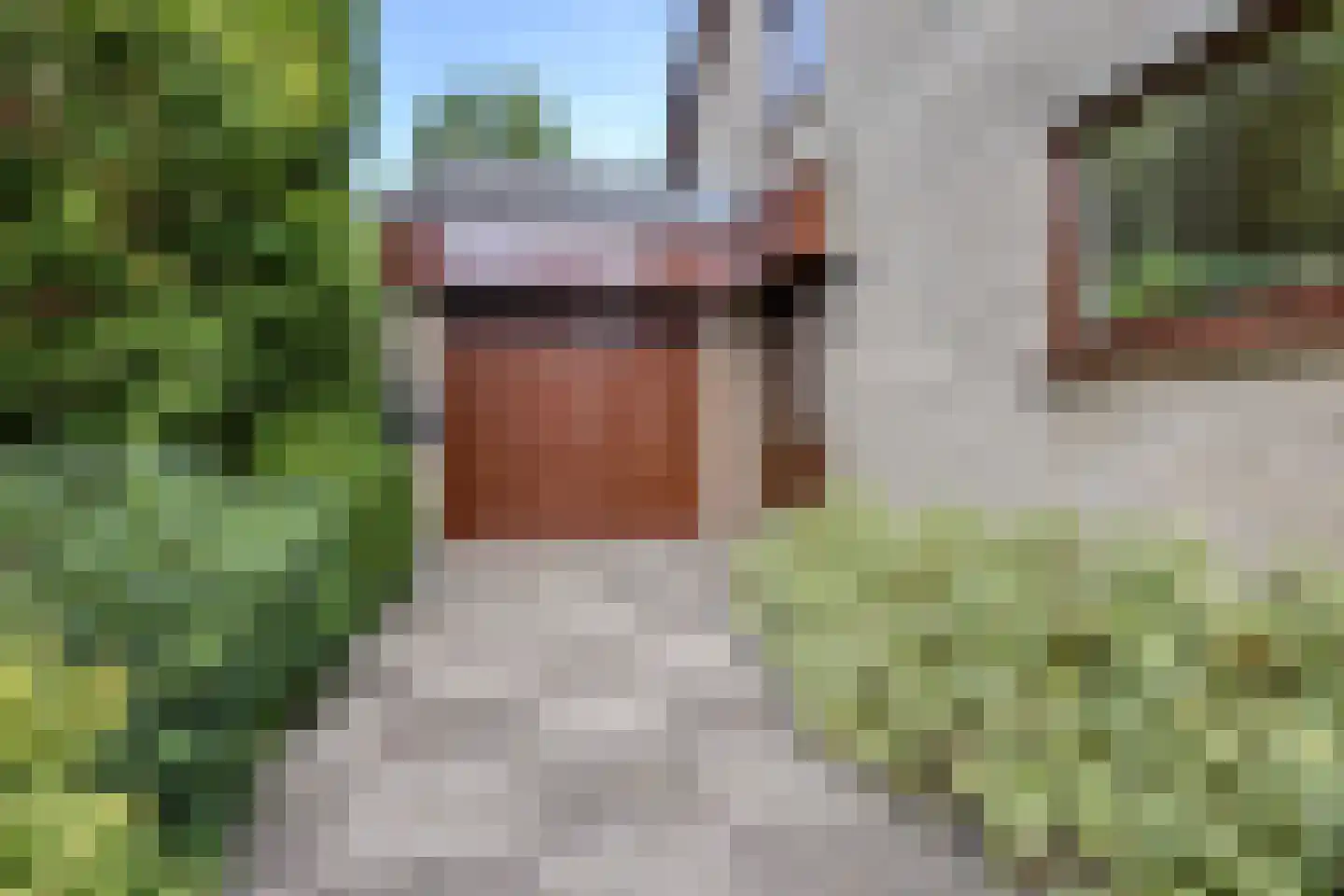 Roucooppark 1 Voorschoten thumbnail 4