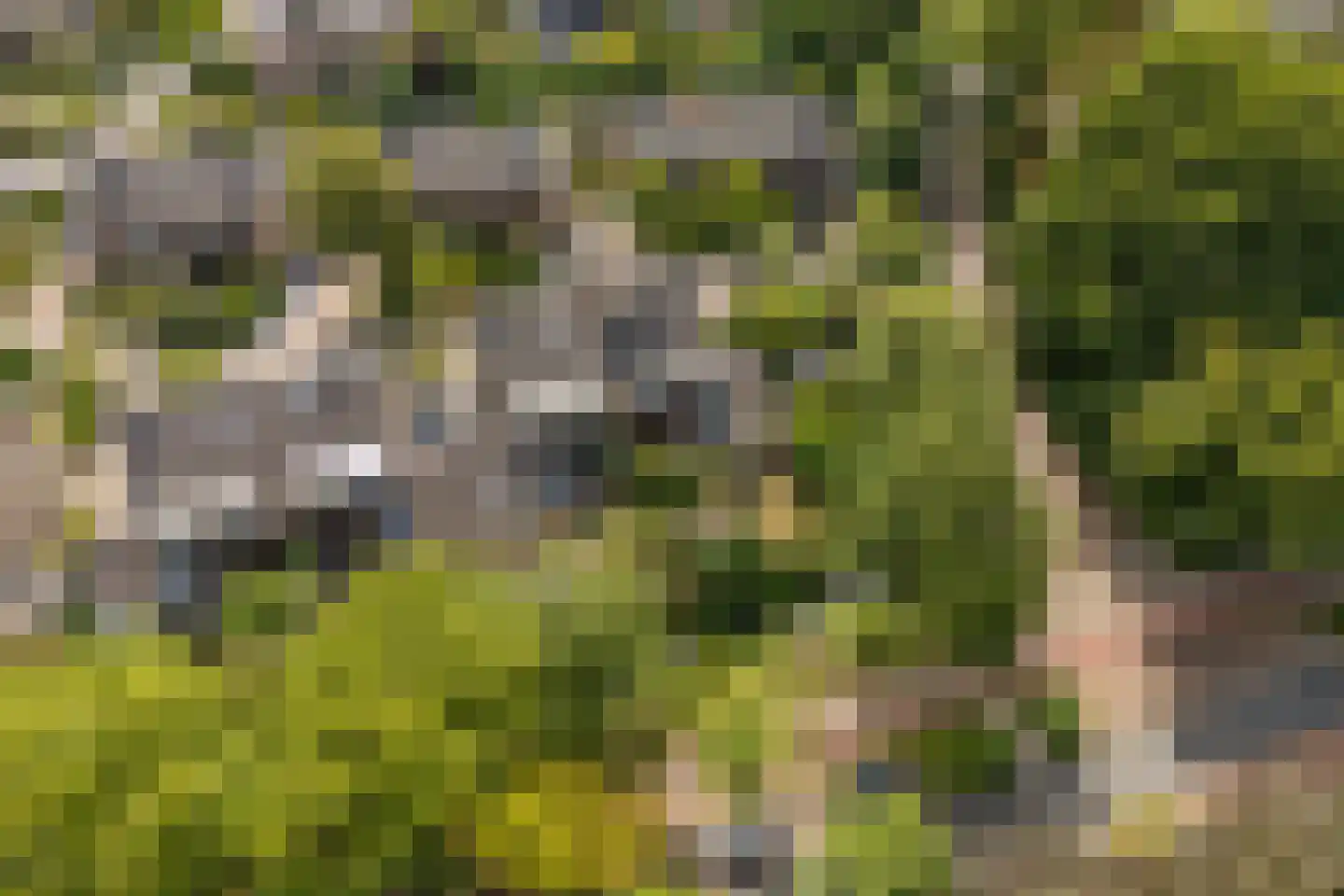 Roucooppark 1 Voorschoten thumbnail 40