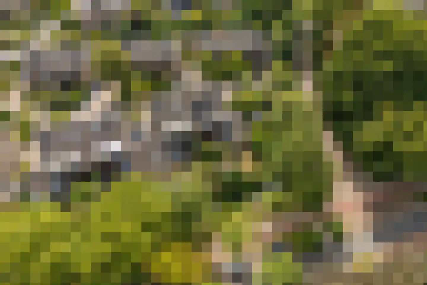 Roucooppark 1 Voorschoten thumbnail 40
