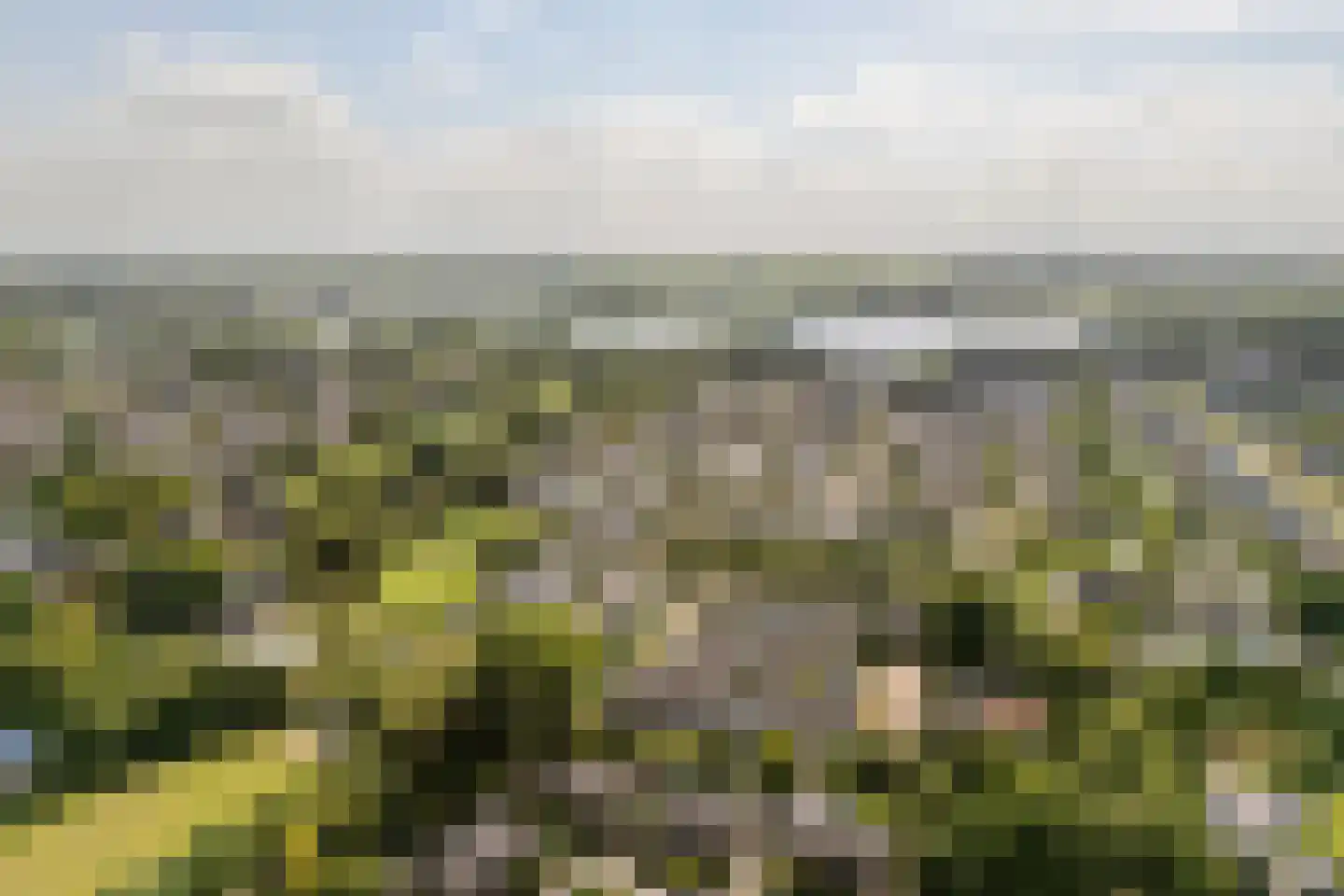 Roucooppark 1 Voorschoten thumbnail 41