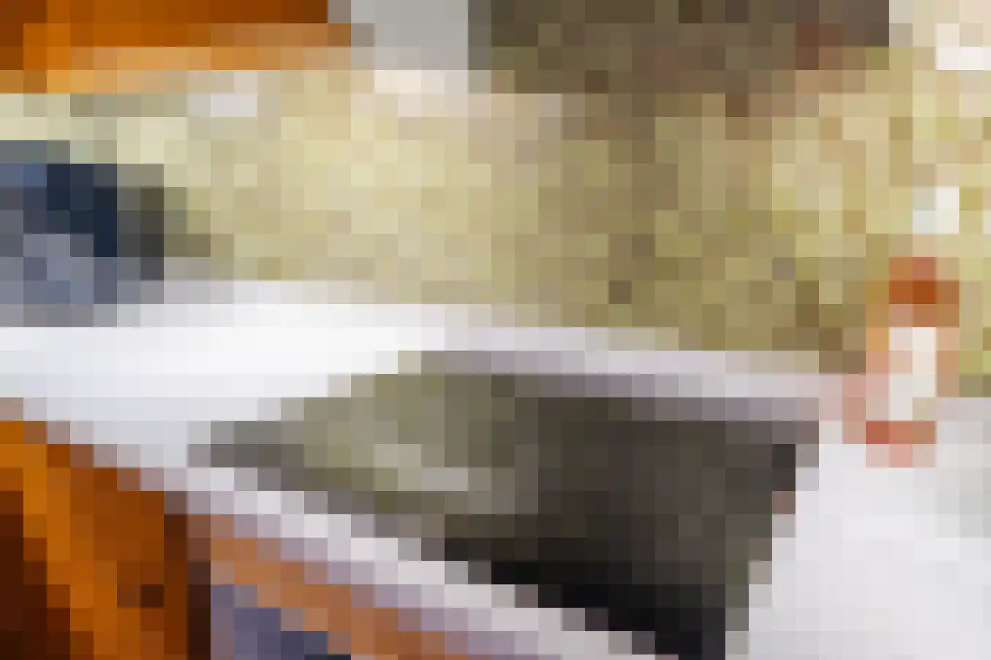 Roucooppark 25 Voorschoten thumbnail 13