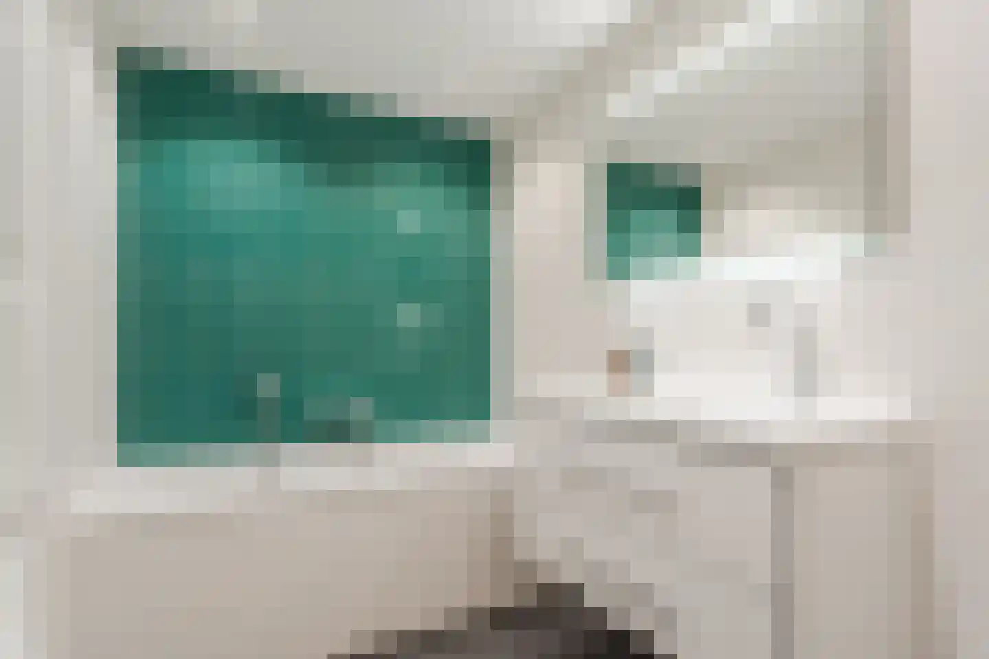 Roucooppark 25 Voorschoten thumbnail 26