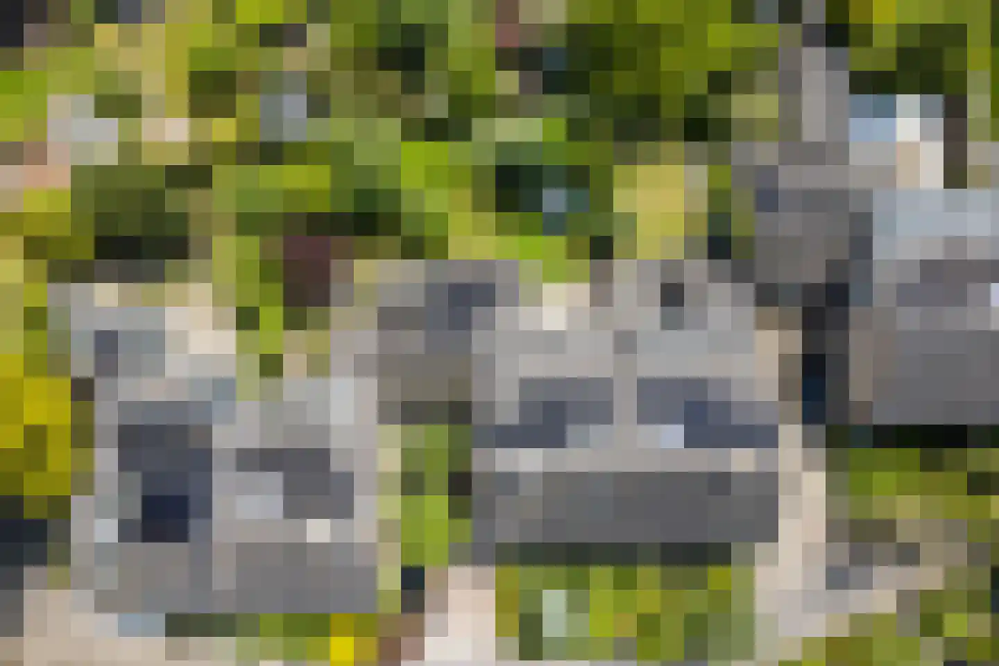 Roucooppark 25 Voorschoten thumbnail 4