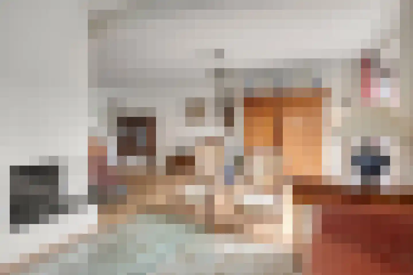 Roucooppark 37 Voorschoten thumbnail 13