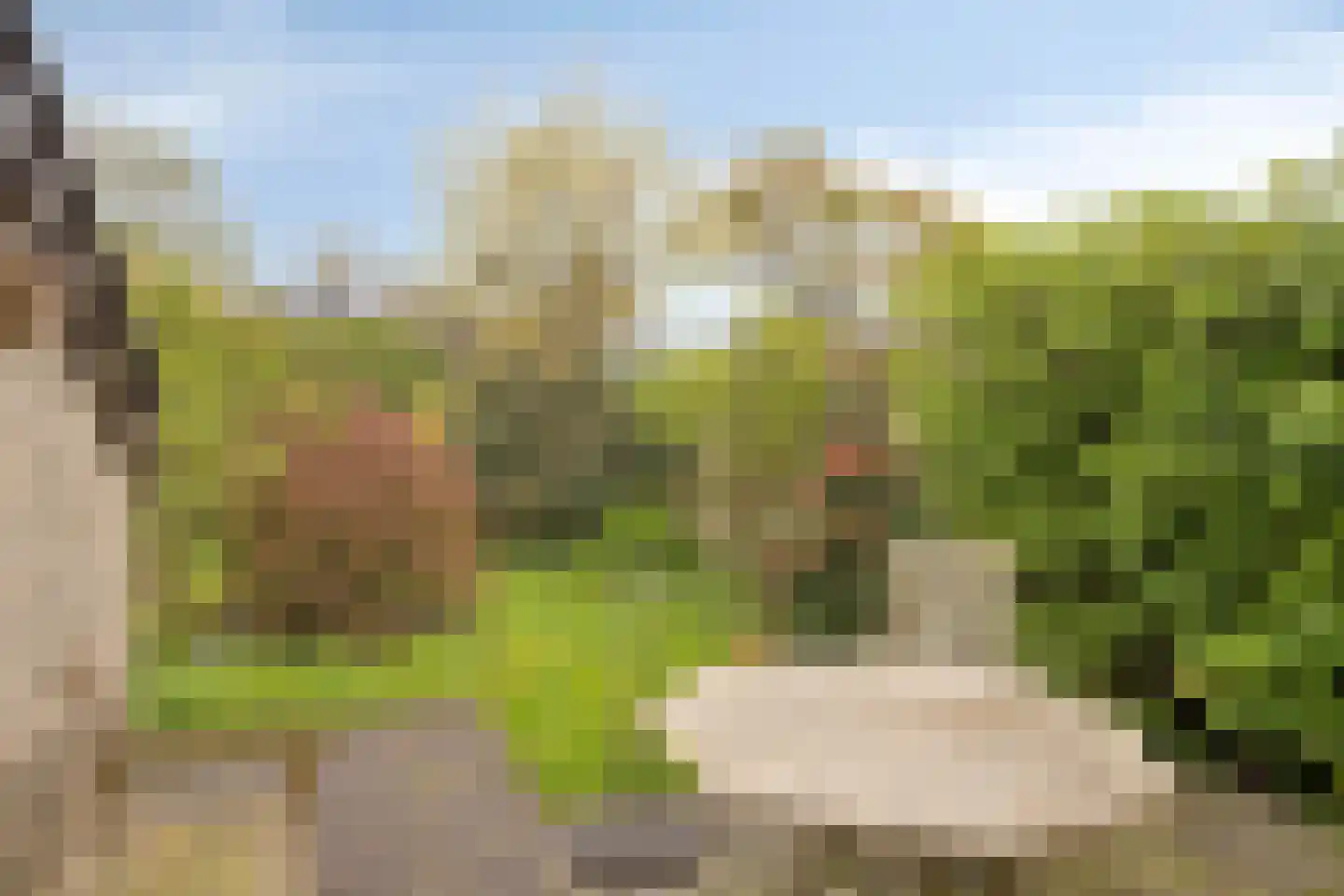 Roucooppark 37 Voorschoten thumbnail 23
