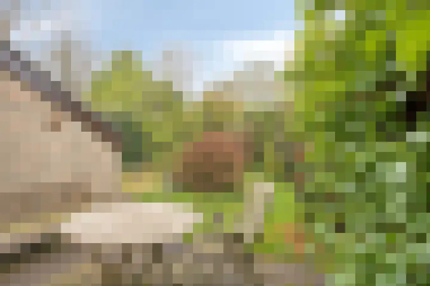 Roucooppark 37 Voorschoten thumbnail 24