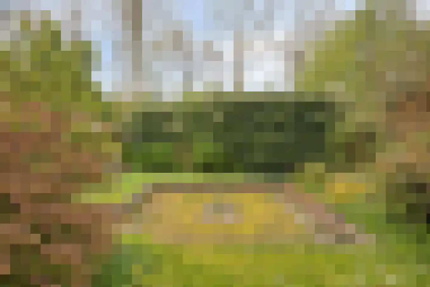Roucooppark 37 Voorschoten thumbnail 27