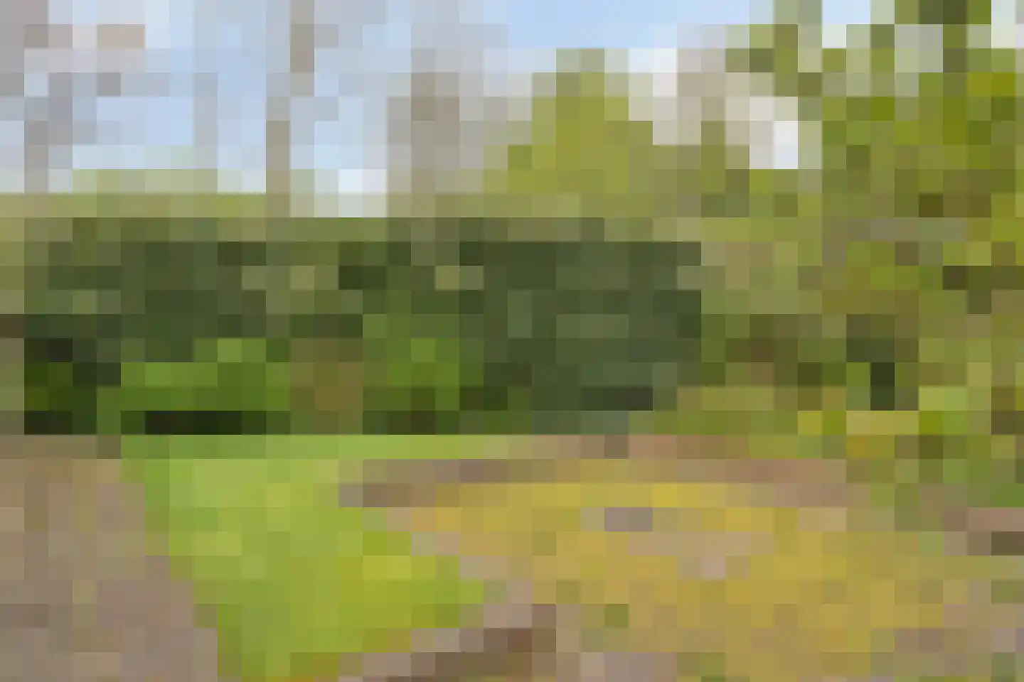 Roucooppark 37 Voorschoten thumbnail 28