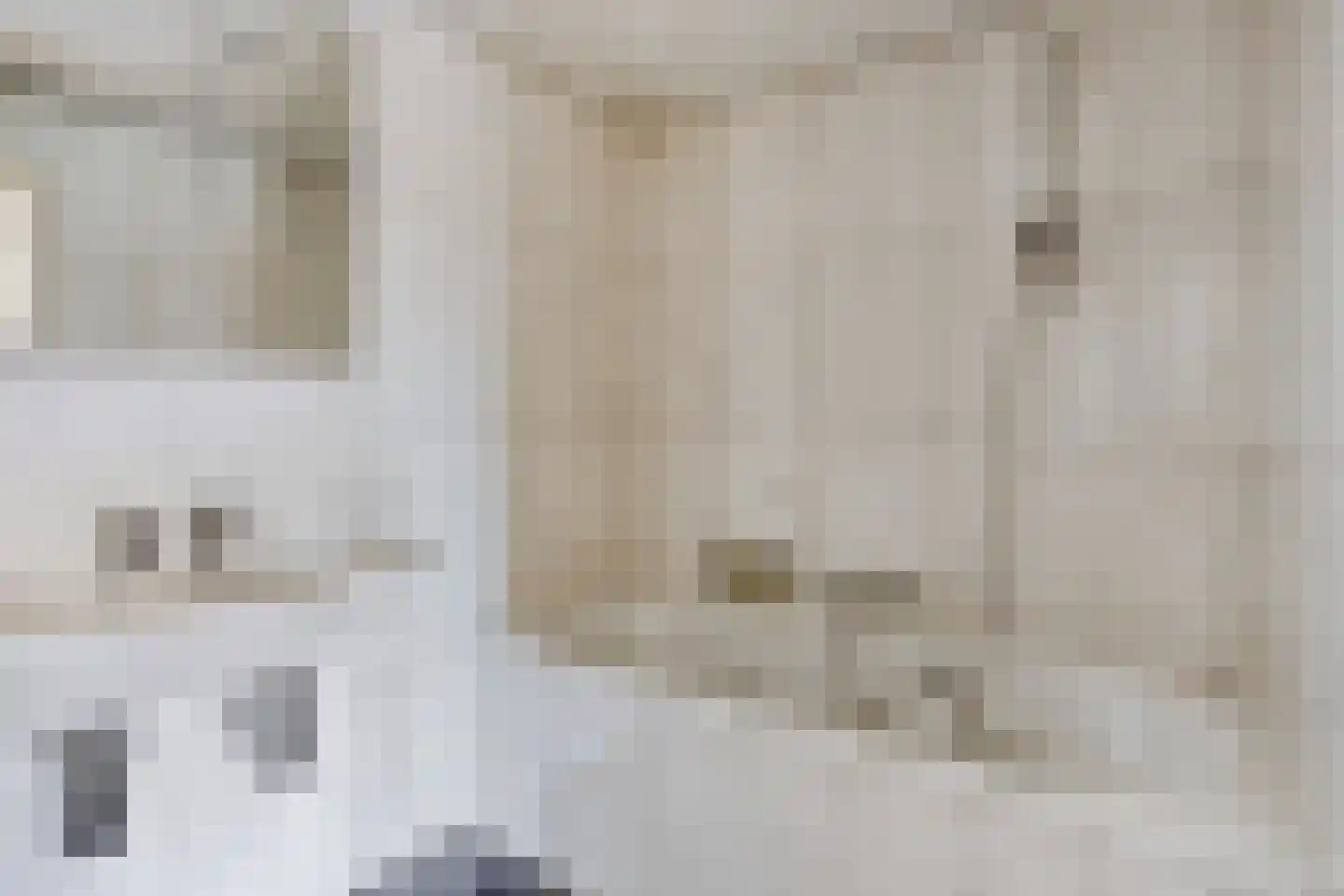Roucooppark 37 Voorschoten thumbnail 36