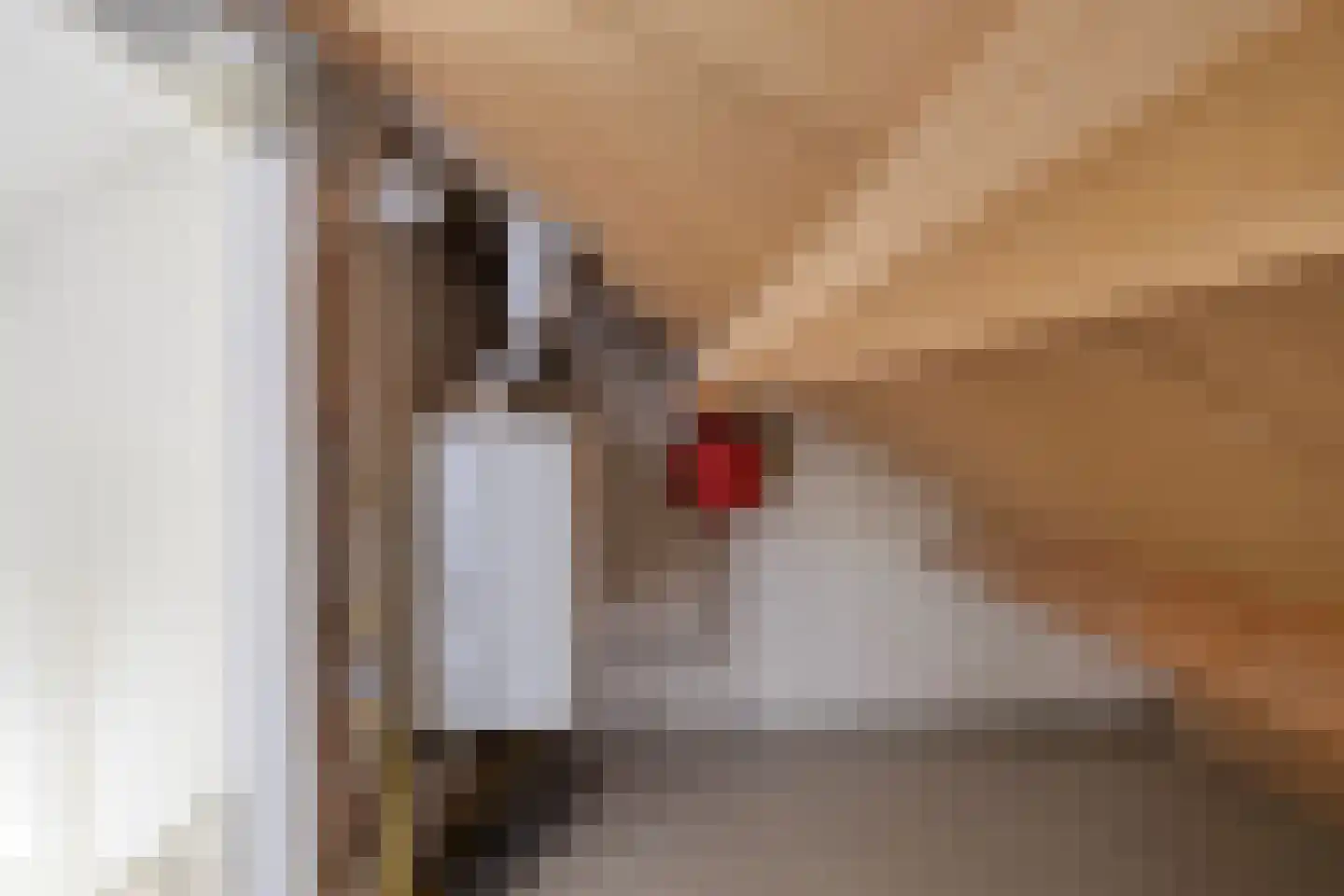 Roucooppark 37 Voorschoten thumbnail 47