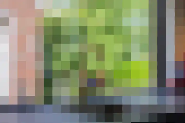 Roudaalterweg 11 Markelo thumbnail 10