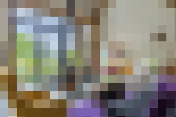 Roudaalterweg 11 Markelo thumbnail 14