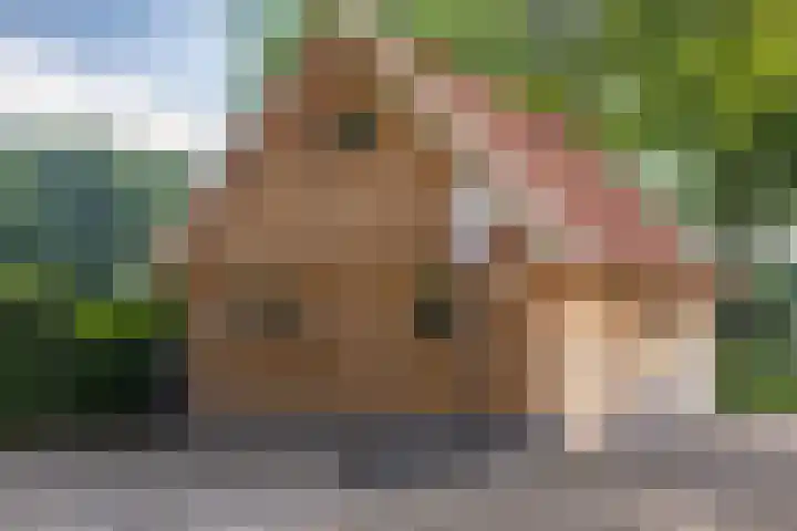 Roudaalterweg 11 Markelo thumbnail 30