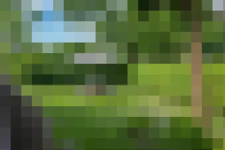 Roudaalterweg 11 Markelo thumbnail 31