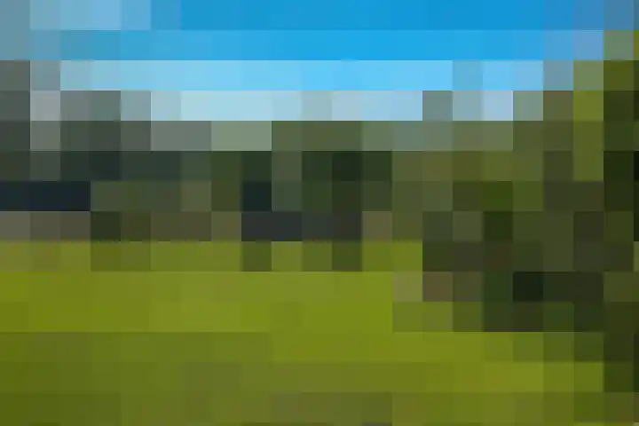Roudaalterweg 11 Markelo thumbnail 33