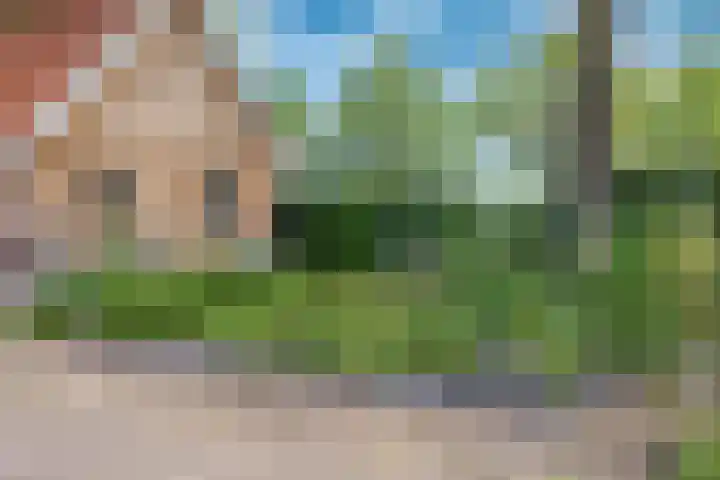Roudaalterweg 11 Markelo thumbnail 34