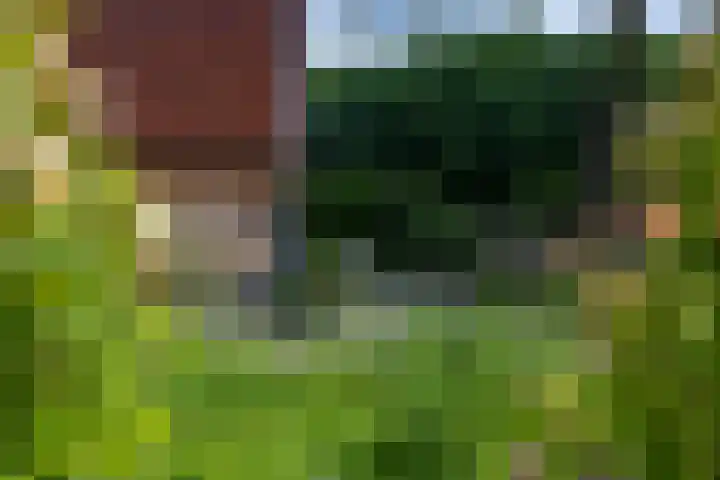 Roudaalterweg 11 Markelo thumbnail 39